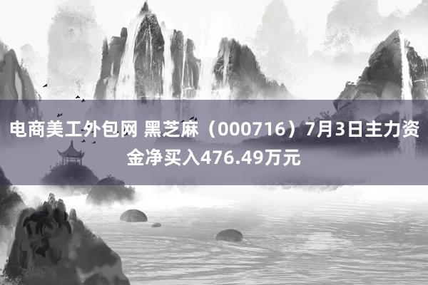 电商美工外包网 黑芝麻（000716）7月3日主力资金净买入476.49万元