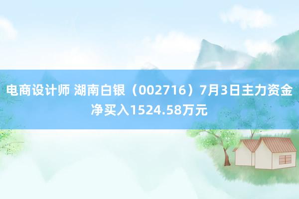 电商设计师 湖南白银（002716）7月3日主力资金净买入1524.58万元