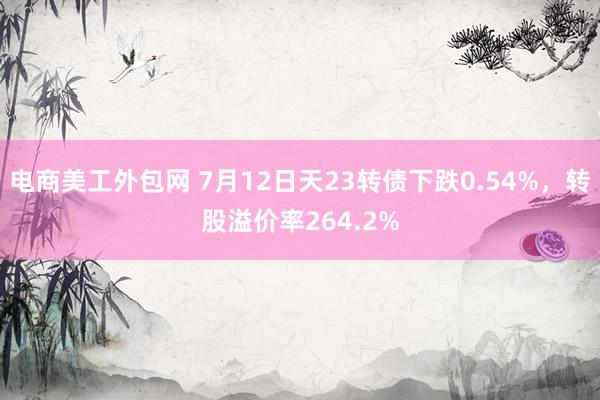 电商美工外包网 7月12日天23转债下跌0.54%，转股溢价率264.2%