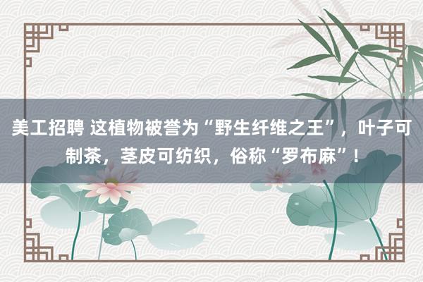 美工招聘 这植物被誉为“野生纤维之王”，叶子可制茶，茎皮可纺织，俗称“罗布麻”！